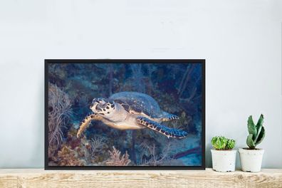 Poster - 60x40 cm - Schildkröte schwimmt über einem tropischen Korallenriff im Meer v