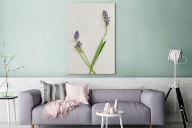 Leinwandbilder - 90x140 cm - Studioaufnahme von Lavendel (Gr. 90x140 cm)