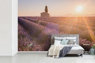 Fototapete - 330x220 cm - Sonnenaufgang über einem Lavendelfeld (Gr. 330x220 cm)