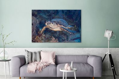 Leinwandbilder - 140x90 cm - Schildkröte schwimmt über einem tropischen Korallenriff