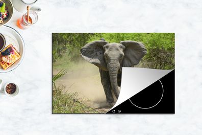 Herdabdeckplatte - 80x52 cm - Laufender Elefant