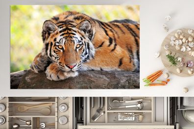 Herdabdeckplatte - 80x52 cm - Tiger - Welpe - Rüssel