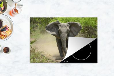 Herdabdeckplatte - 78x52 cm - Laufender Elefant
