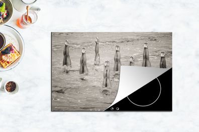 Herdabdeckplatte - 80x52 cm - Synchronschwimmerinnen Sepia-Fotodruck