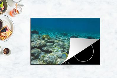 Herdabdeckplatte - 78x52 cm - Das Riff des Glover's Reef in Belize