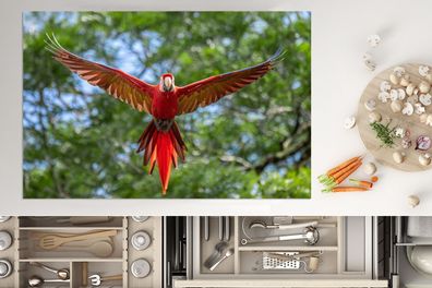 Herdabdeckplatte - 80x52 cm - Fliegender Ara Fotodruck