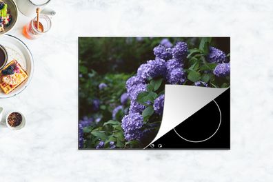 Herdabdeckplatte - 70x52 cm - Dunkelheit um Hortensien in einem Garten
