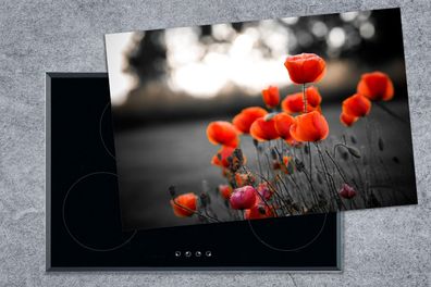 Herdabdeckplatte - 78x52 cm - Rote Mohnblumen vor schwarzem und weißem Hintergrund