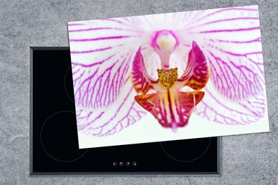 Herdabdeckplatte - 78x52 cm - Orchidee Detail