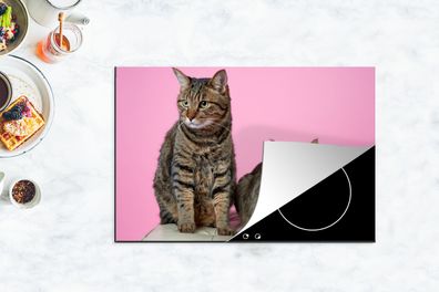 Herdabdeckplatte - 78x52 cm - Katze - Rosa - Fußschemel