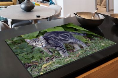 Herdabdeckplatte - 90x52 cm - Katze - Haustier - Garten