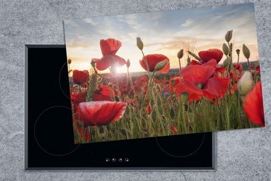 Herdabdeckplatte - 80x52 cm - Sonnenuntergang hinter den schönen Mohnblumen