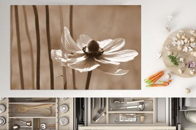 Herdabdeckplatte - 80x52 cm - Blume der Anemone Sepia-Fotodruck