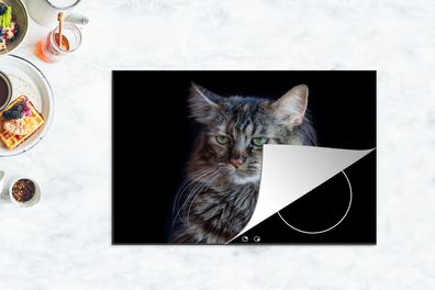 Herdabdeckplatte - 80x52 cm - Maine Coon Katze mit schwarzem Hintergrund