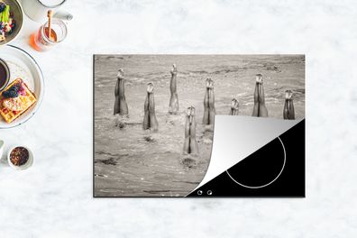 Herdabdeckplatte - 78x52 cm - Synchronschwimmerinnen Sepia-Fotodruck