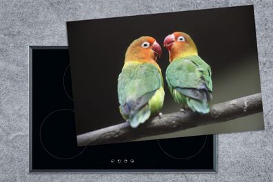 Herdabdeckplatte - 78x52 cm - Liebesvögel Papageien Fotodruck