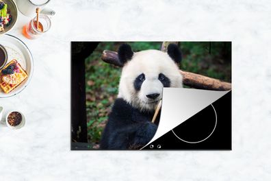 Herdabdeckplatte - 78x52 cm - Panda - Bambus - Natur