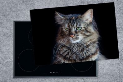 Herdabdeckplatte - 78x52 cm - Maine Coon Katze mit schwarzem Hintergrund