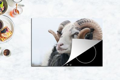 Herdabdeckplatte - 78x52 cm - Schafe - Horn - Tiere