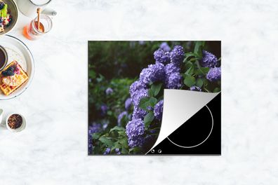 Herdabdeckplatte - 75x52 cm - Dunkelheit um Hortensien in einem Garten