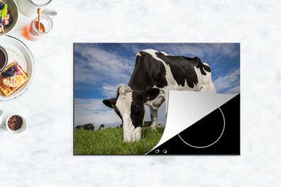 Herdabdeckplatte - 78x52 cm - Kuh - Schwarz - Weiß - Lebensmittel