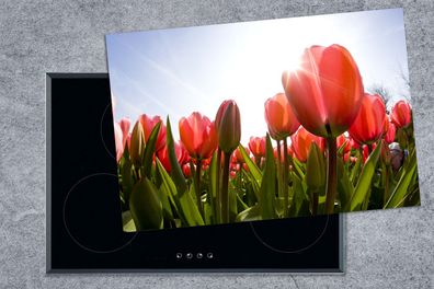Herdabdeckplatte - 78x52 cm - Blumen - Tulpen - Sonne