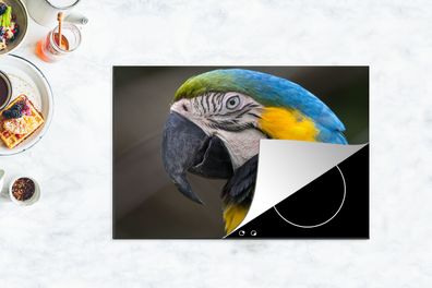 Herdabdeckplatte - 78x52 cm - Blauer und gelber Ara Fotodruck