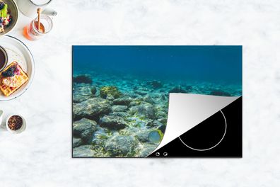 Herdabdeckplatte - 80x52 cm - Das Riff des Glover's Reef in Belize
