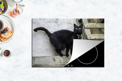 Herdabdeckplatte - 78x52 cm - Katze - Schwarz - Palette