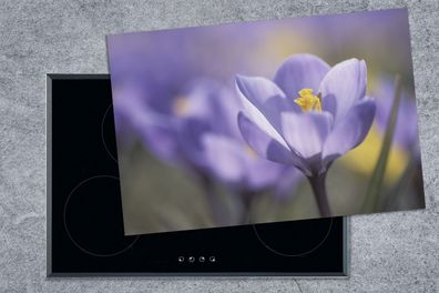 Herdabdeckplatte - 78x52 cm - Frühling - Krokus - Lila