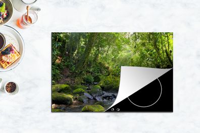 Herdabdeckplatte - 80x52 cm - Rainforest Creek