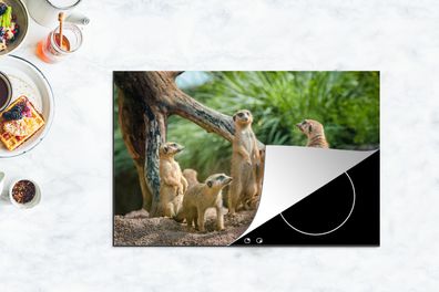 Herdabdeckplatte - 80x52 cm - Erdmännchen - Familie - Tiere