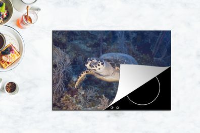 Herdabdeckplatte - 78x52 cm - Schildkröte schwimmt über einem tropischen Korallenriff