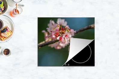Herdabdeckplatte - 60x52 cm - Vogel - Kolibri - Kirschblüte