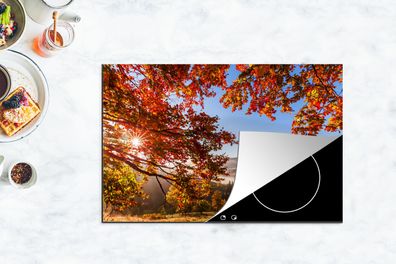 Herdabdeckplatte - 80x52 cm - Herbst - Baum - Licht