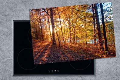 Herdabdeckplatte - 78x52 cm - Herbst - Wald - Laub