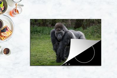 Herdabdeckplatte - 80x52 cm - Ein Gorilla geht auf seinen Händen und Beinen