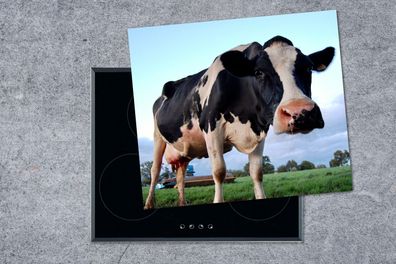 Herdabdeckplatte - 60x52 cm - Kuh - Bauernhof - Gras - Tiere