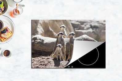 Herdabdeckplatte - 80x52 cm - Familie - Erdmännchen - Tiere