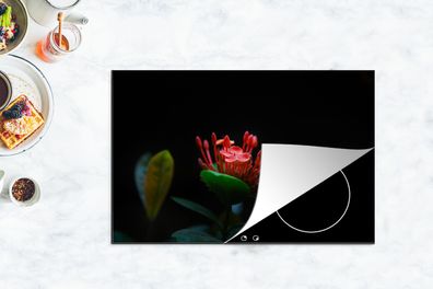 Herdabdeckplatte - 80x52 cm - Ein Foto einer tropischen Blume auf schwarzem Hintergru