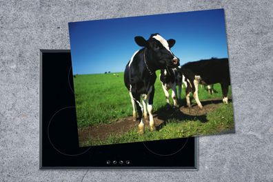 Herdabdeckplatte - 65x52 cm - Kuh - Gras - Tiere