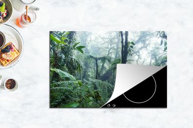 Herdabdeckplatte - 80x52 cm - Ein nebliger Regenwald in Costa Rica