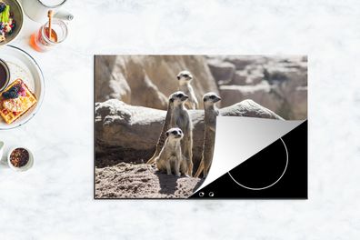 Herdabdeckplatte - 78x52 cm - Familie - Erdmännchen - Tiere