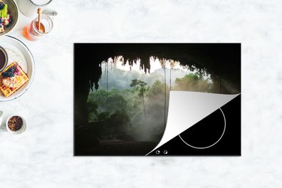 Herdabdeckplatte - 78x52 cm - Natürliche Höhle im Regenwald von Malaysia