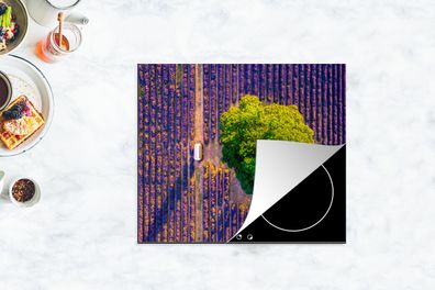 Herdabdeckplatte - 75x52 cm - Luftaufnahme eines großen Baumes in einem Lavendelfeld