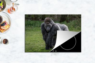 Herdabdeckplatte - 78x52 cm - Ein Gorilla geht auf seinen Händen und Beinen