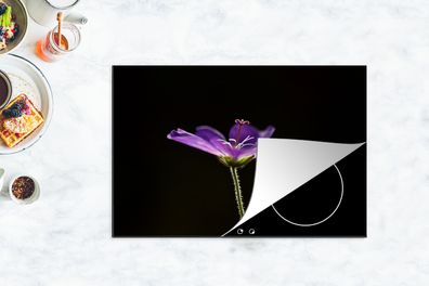 Herdabdeckplatte - 78x52 cm - Eine lila Geranie auf einem schwarzen Hintergrund