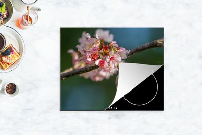 Herdabdeckplatte - 65x52 cm - Vogel - Kolibri - Kirschblüte