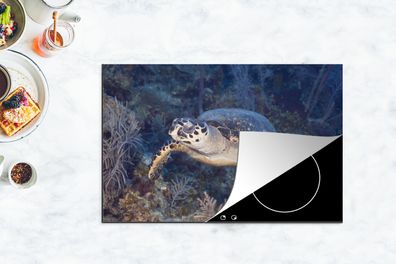 Herdabdeckplatte - 80x52 cm - Schildkröte schwimmt über einem tropischen Korallenriff
