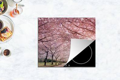 Herdabdeckplatte - 60x52 cm - Sakura-Bäume an einem klaren Tag
